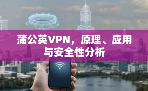蒲公英VPN，原理、应用与安全性分析